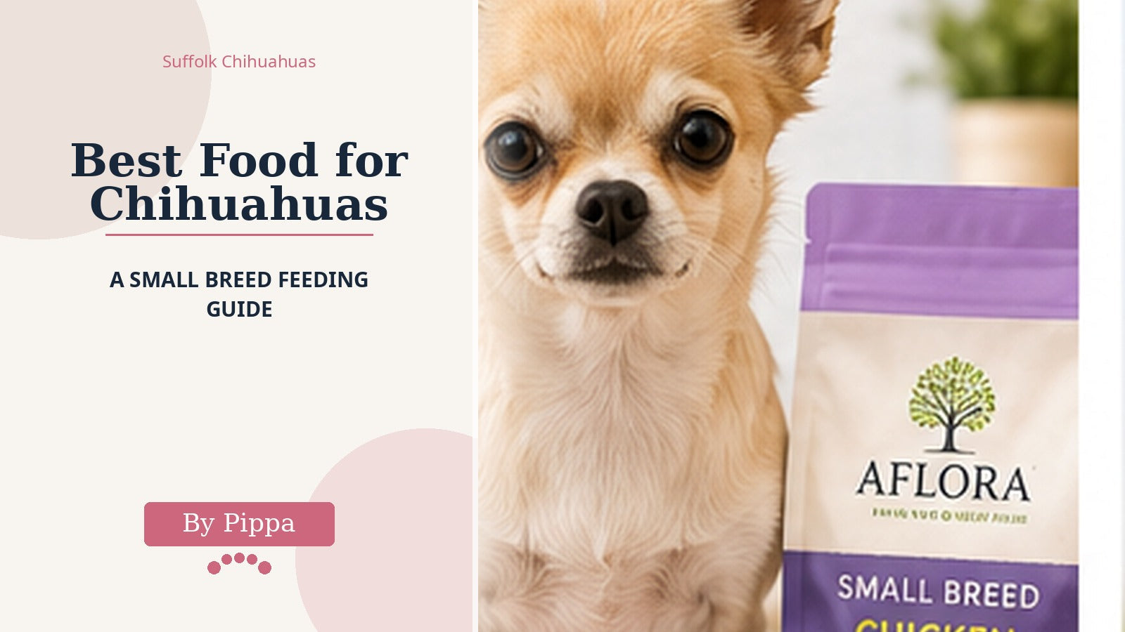 Best Food for Chihuahuas: A Small Breed Feeding Guide