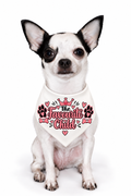 Dog bandanna