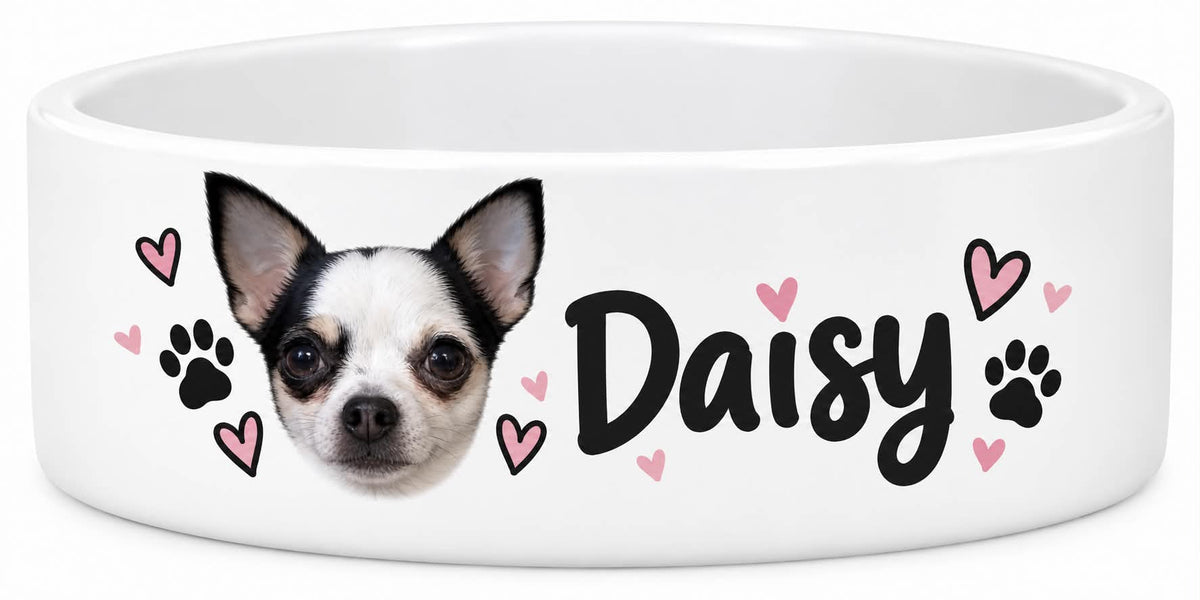 Personalsied pet bowl