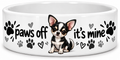 Chihuahua dog bowl
