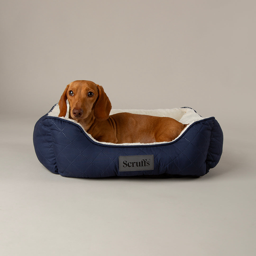 Wilton Box Bed - Navy Blue