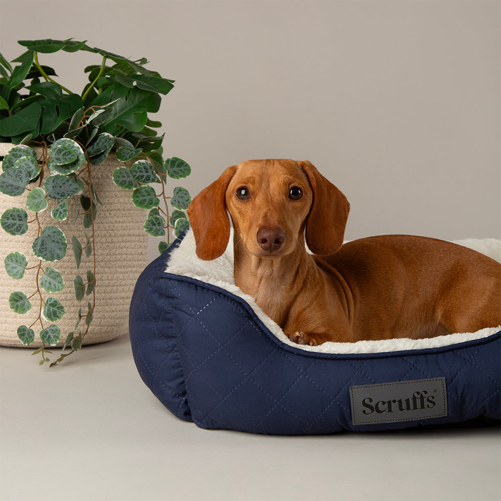Wilton Box Bed - Navy Blue