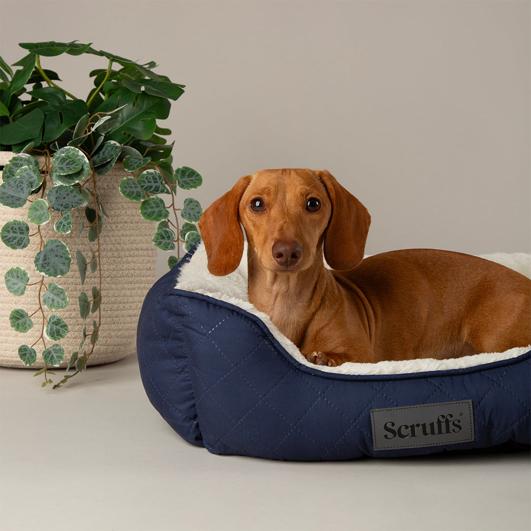 Wilton Box Bed - Navy Blue