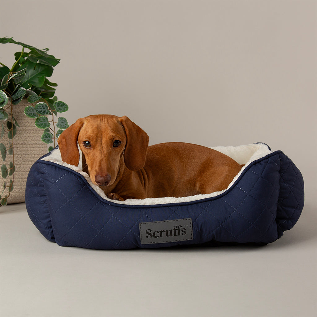 Wilton Box Bed - Navy Blue