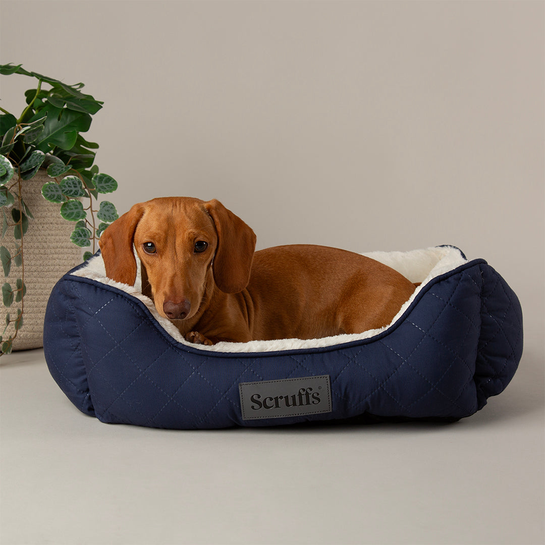 Wilton Box Bed - Navy Blue