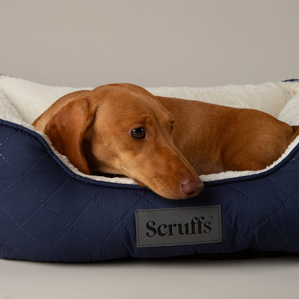 Wilton Box Bed - Navy Blue