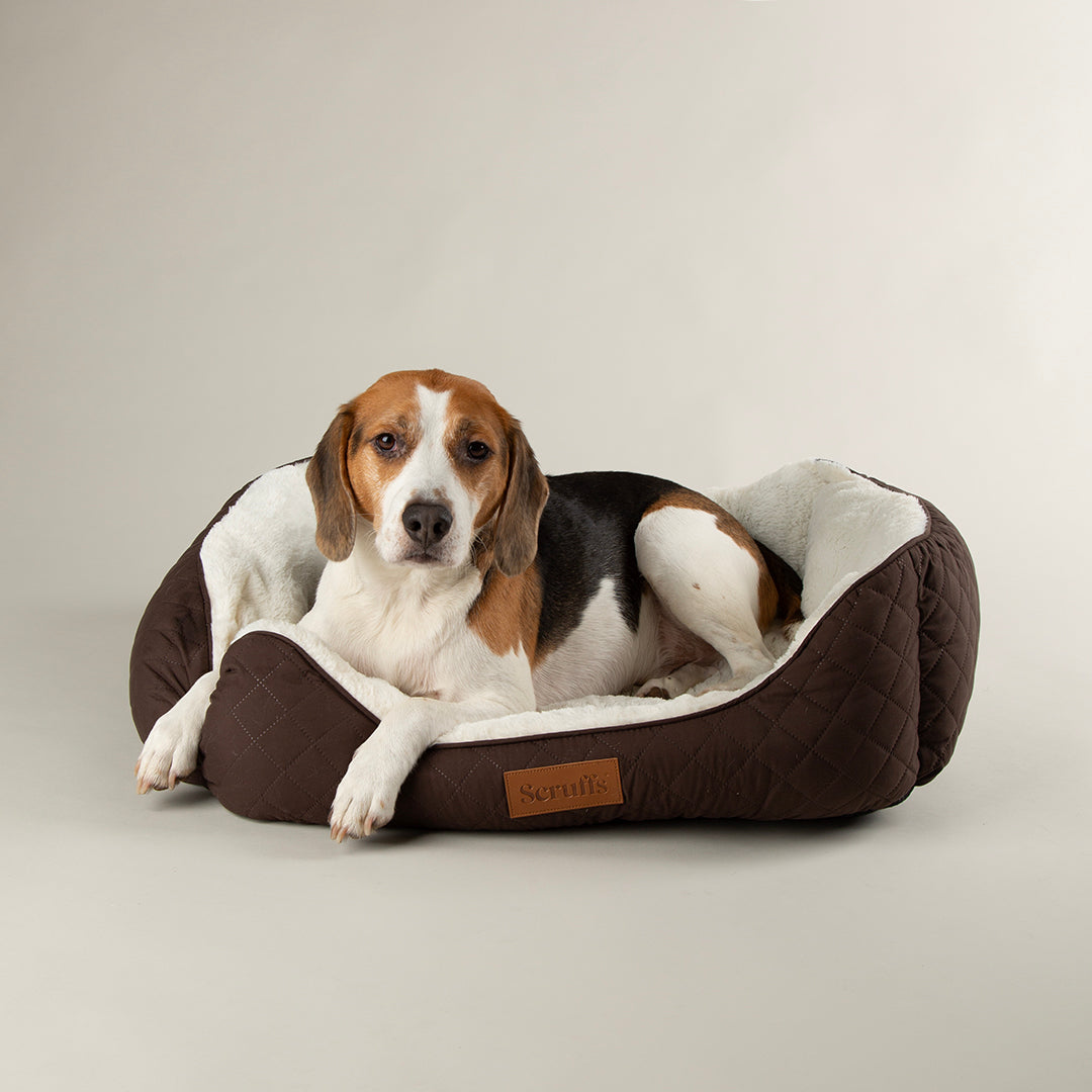 Wilton Box Bed - Chocolate Brown