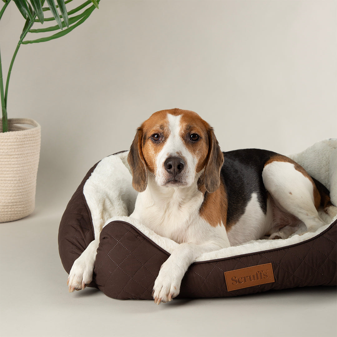 Wilton Box Bed - Chocolate Brown