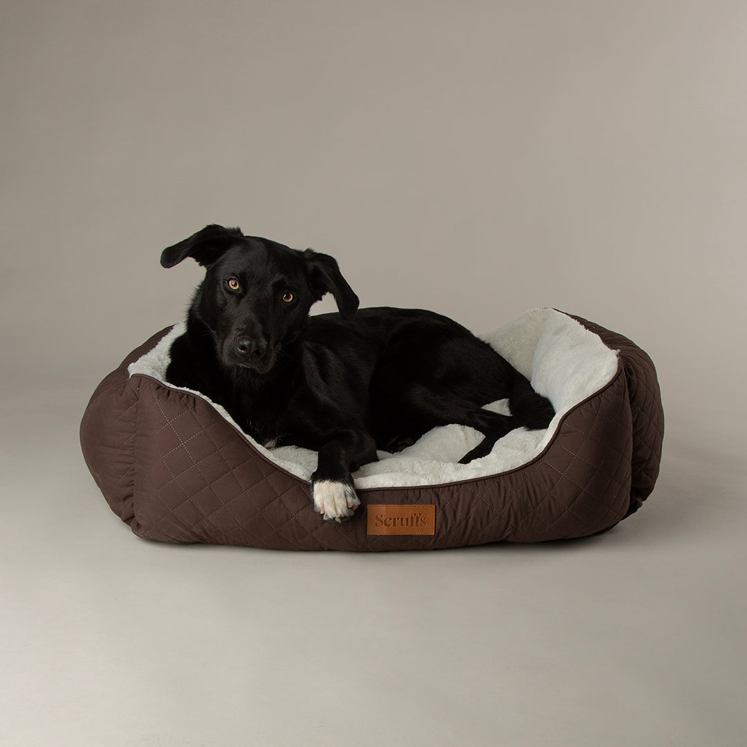 Wilton Box Bed - Chocolate Brown