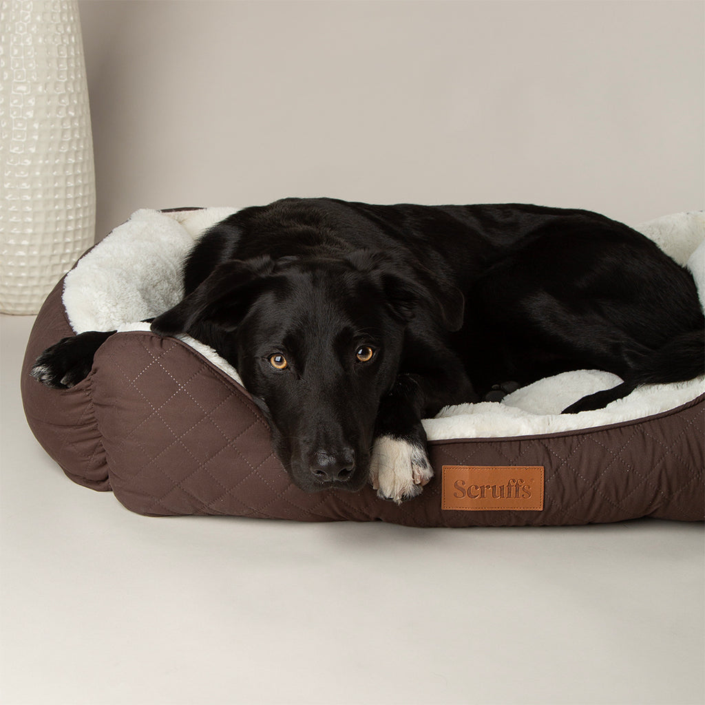 Wilton Box Bed - Chocolate Brown