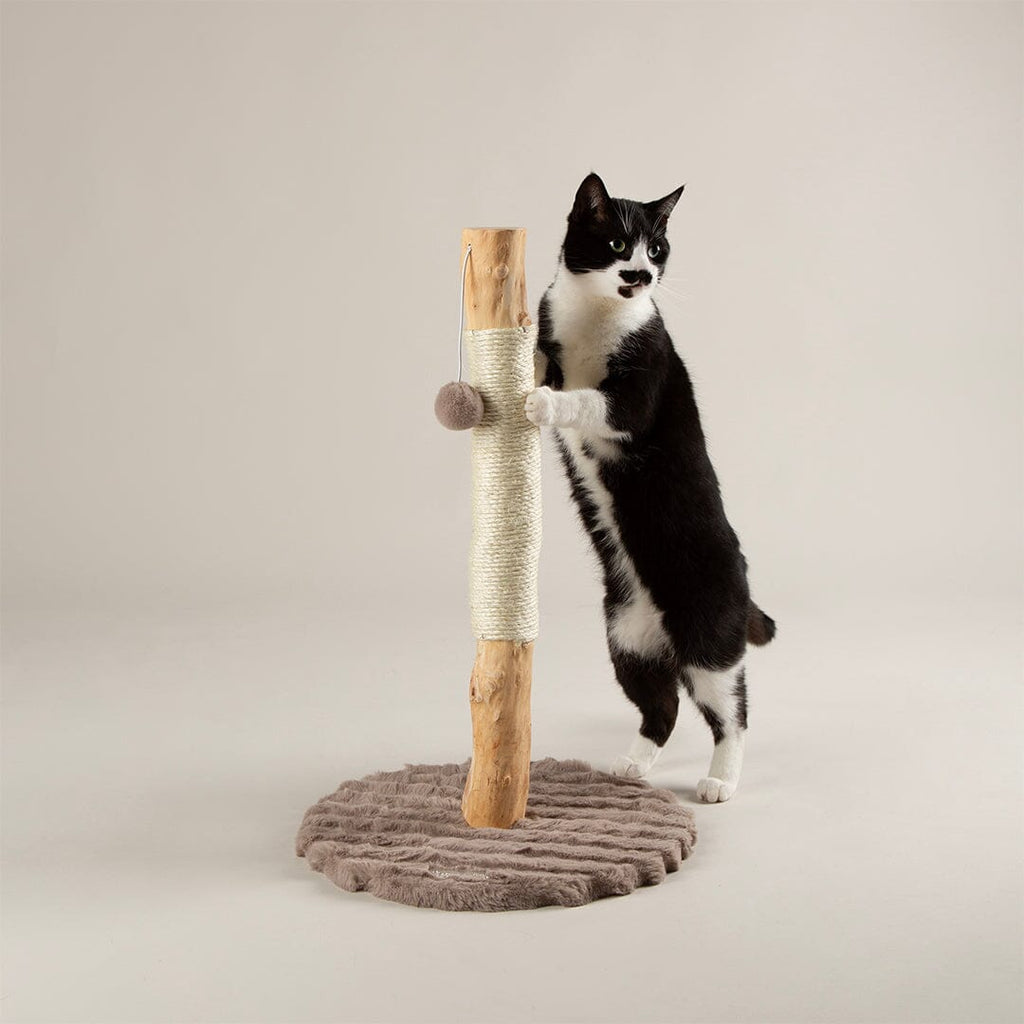 Alpine Rockies Cat Scratching Post - Taupe