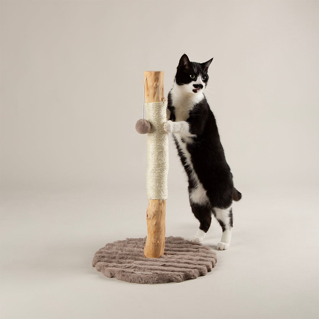Alpine Rockies Cat Scratching Post - Taupe