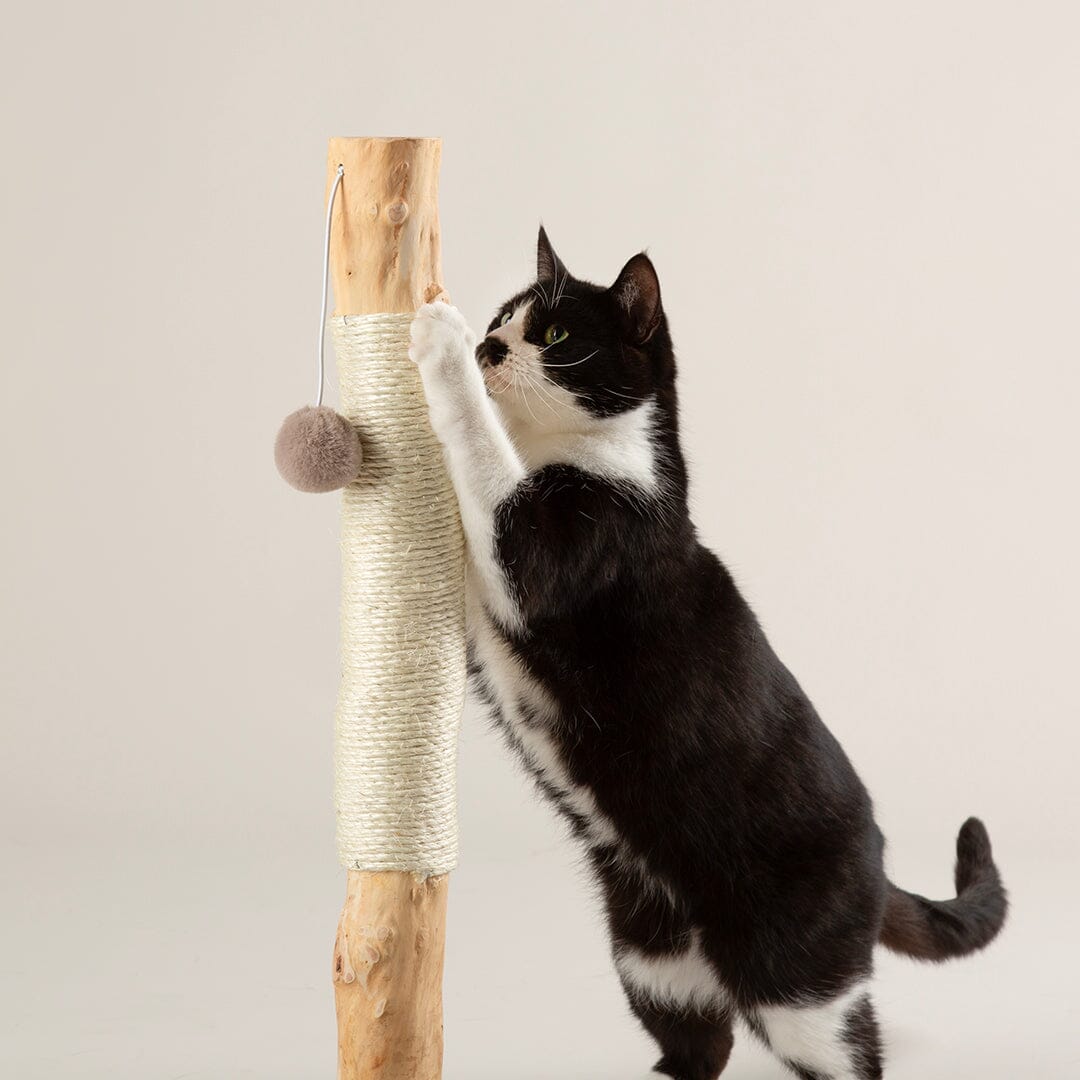 Alpine Rockies Cat Scratching Post - Cream