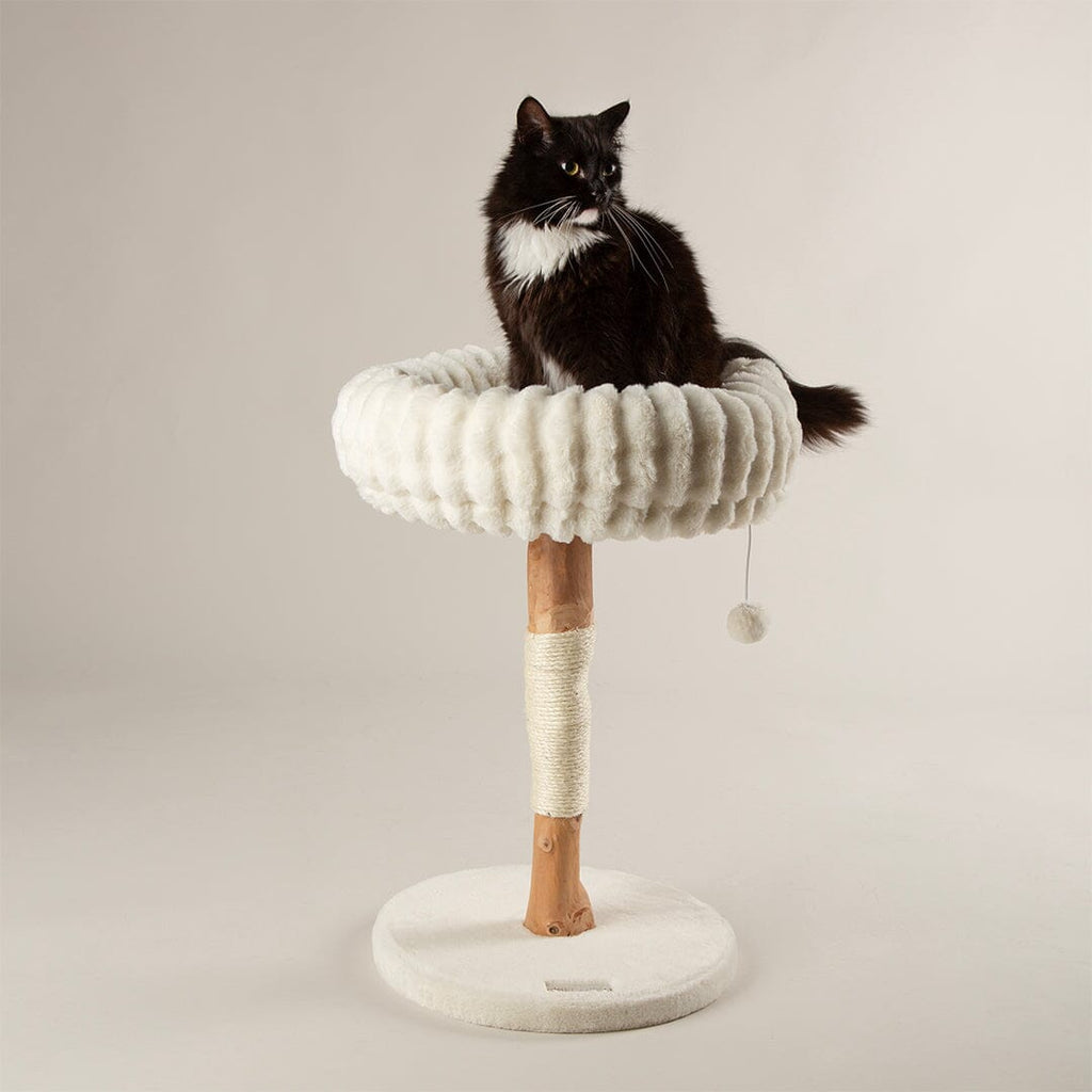Alpine Appalachians Cat Tree - Cream