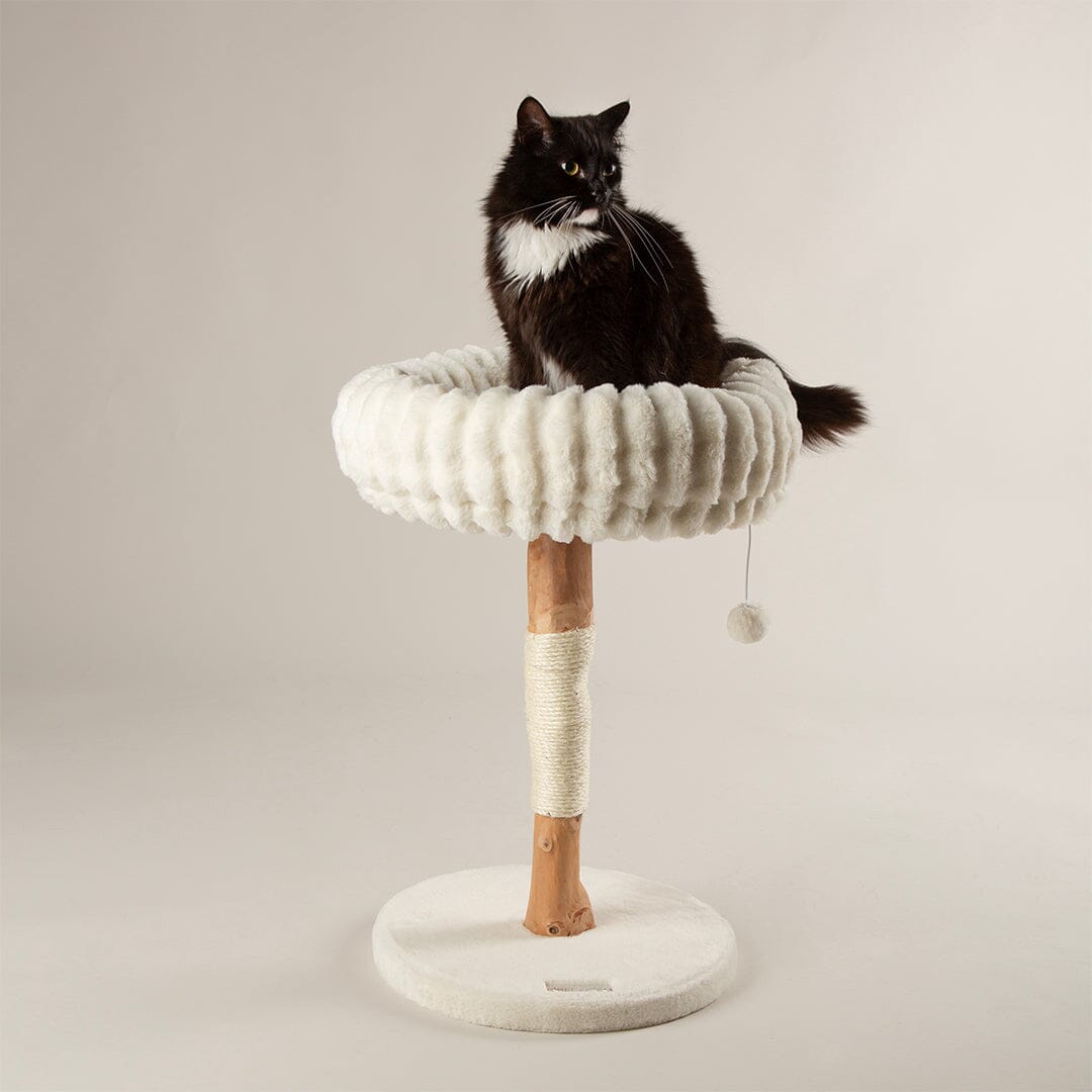Alpine Appalachians Cat Tree - Cream