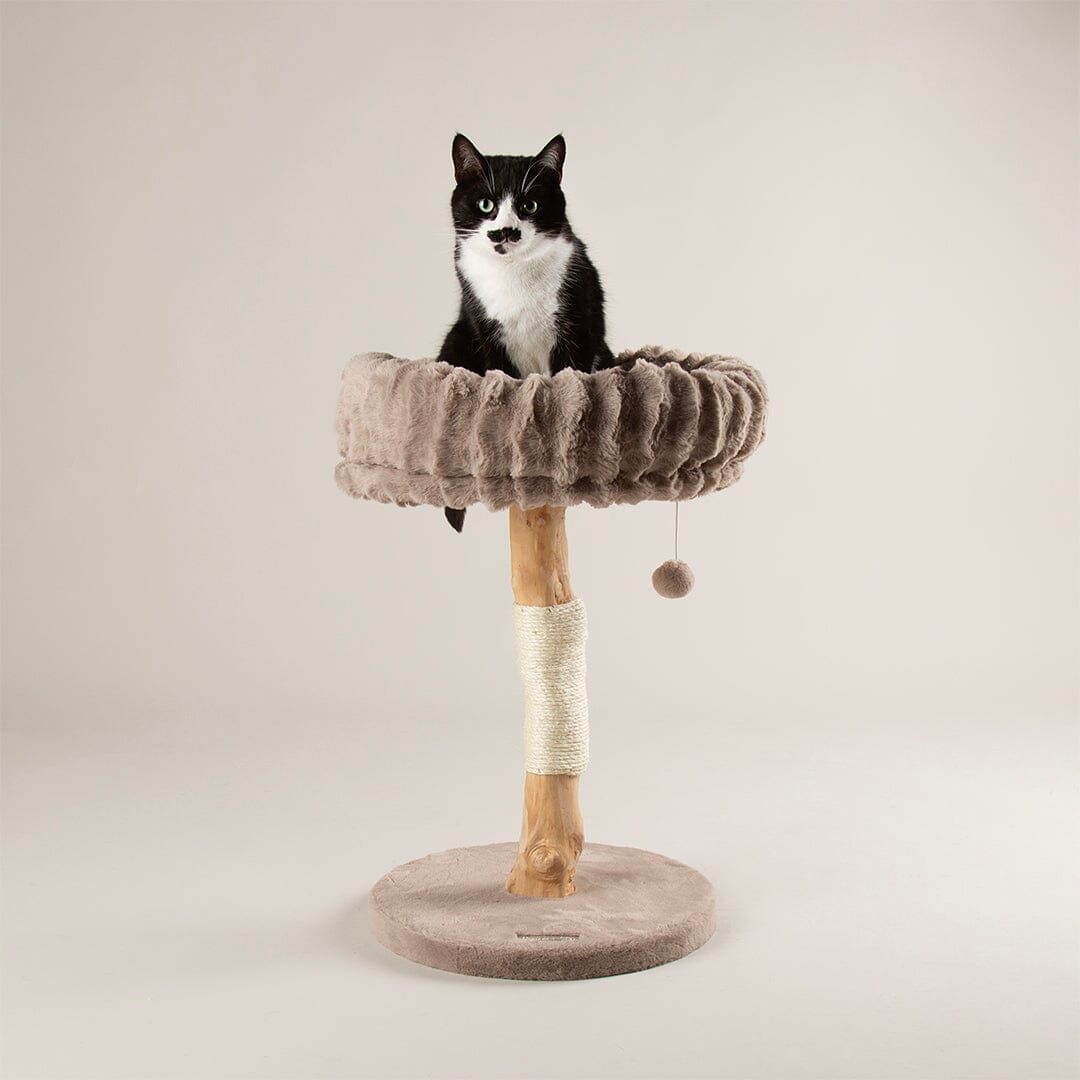 Alpine Appalachians Cat Tree - Taupe