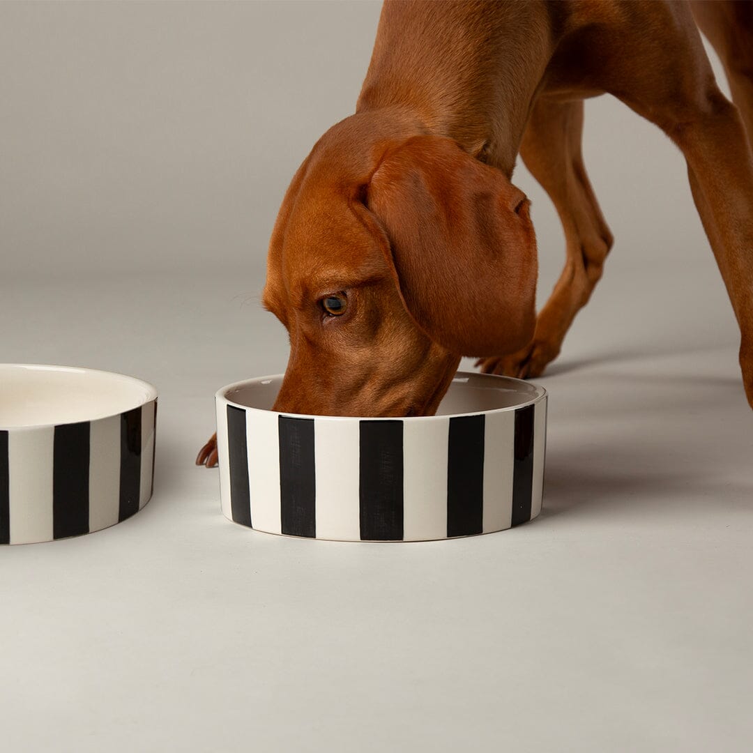 Amalfi Striped 2 Piece Dog Bowl Food & Water Bowl Set - Black