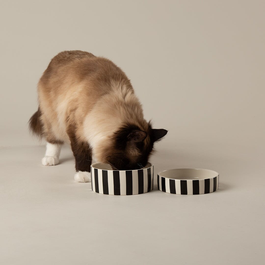 Amalfi Striped 2 Piece Cat Food Bowl & Saucer Set - Black