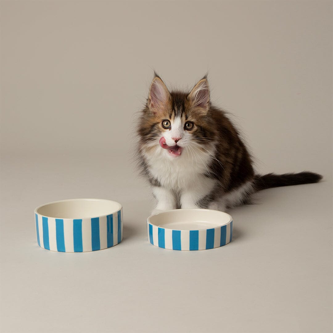 Amalfi Striped 2 Piece Cat Food Bowl & Saucer Set - Blue