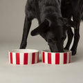 Amalfi Striped 2 Piece Dog Bowl Food & Water Bowl Set - Red