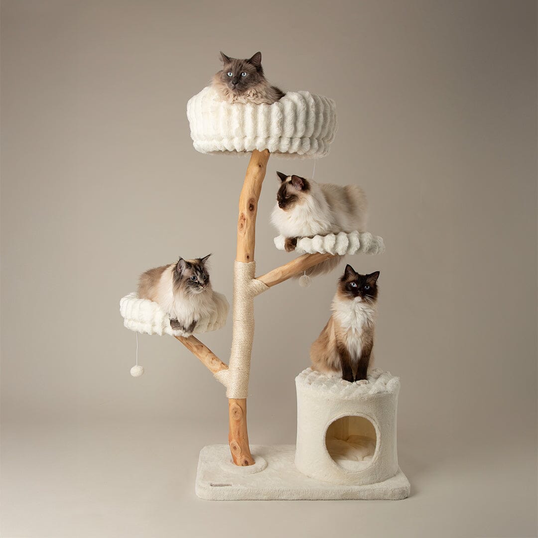 Alpine Pyrenees Cat Tree - Cream