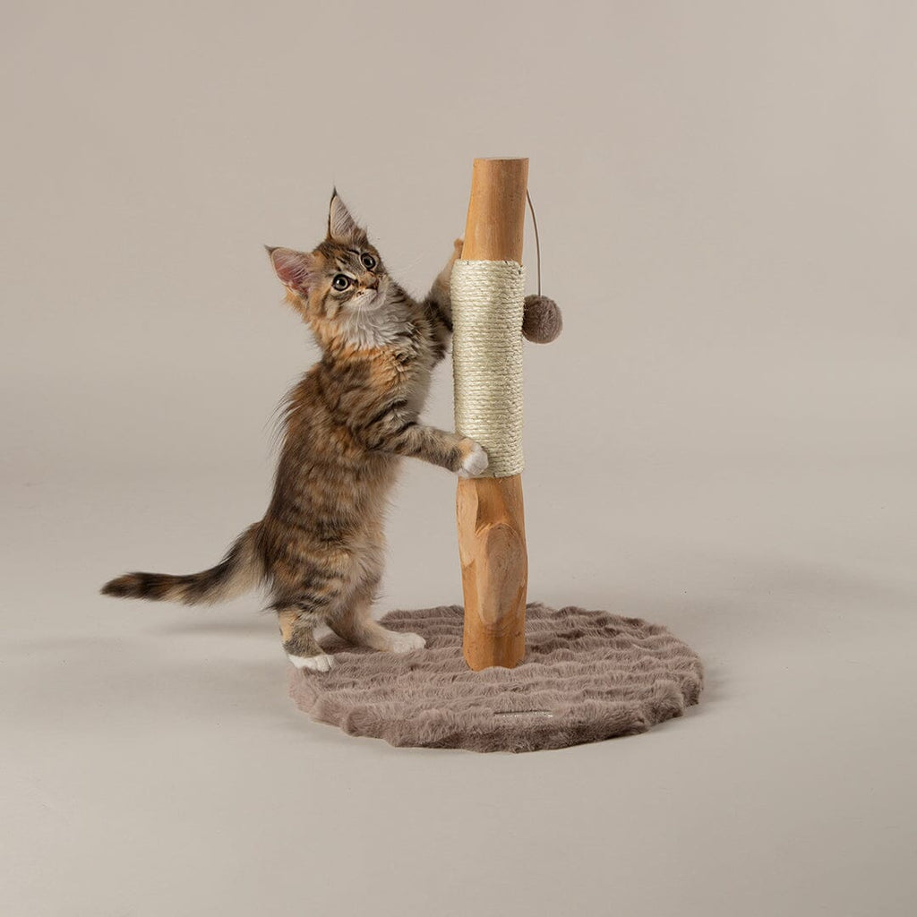 Alpine Andes 'My First' Cat Scratching Post - Taupe