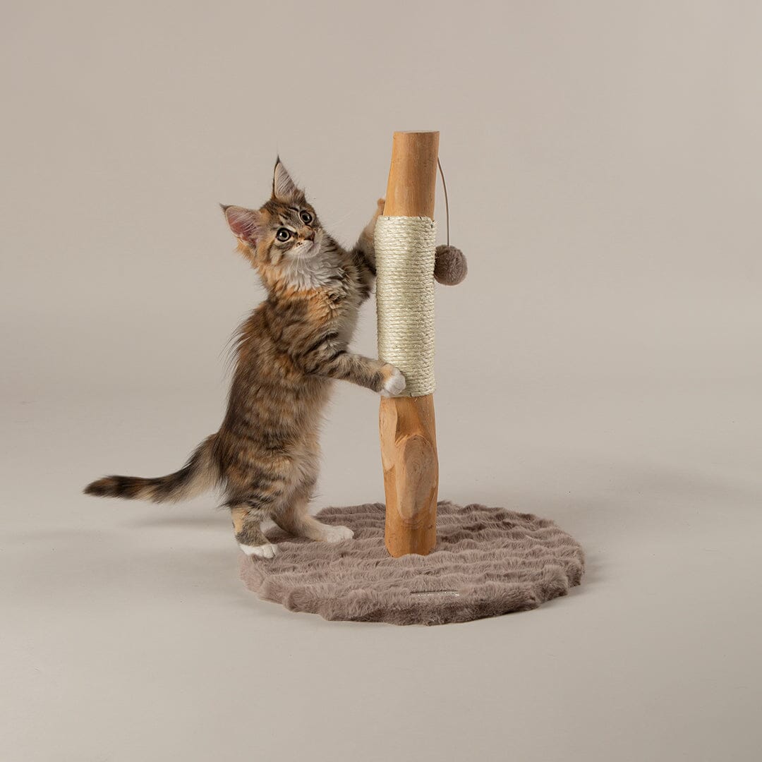 Alpine Andes 'My First' Cat Scratching Post - Taupe