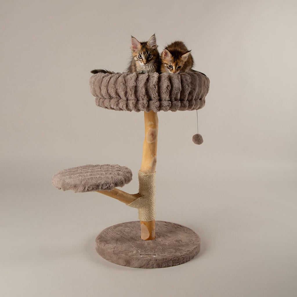 Alpine Atlas Cat Tree - Taupe