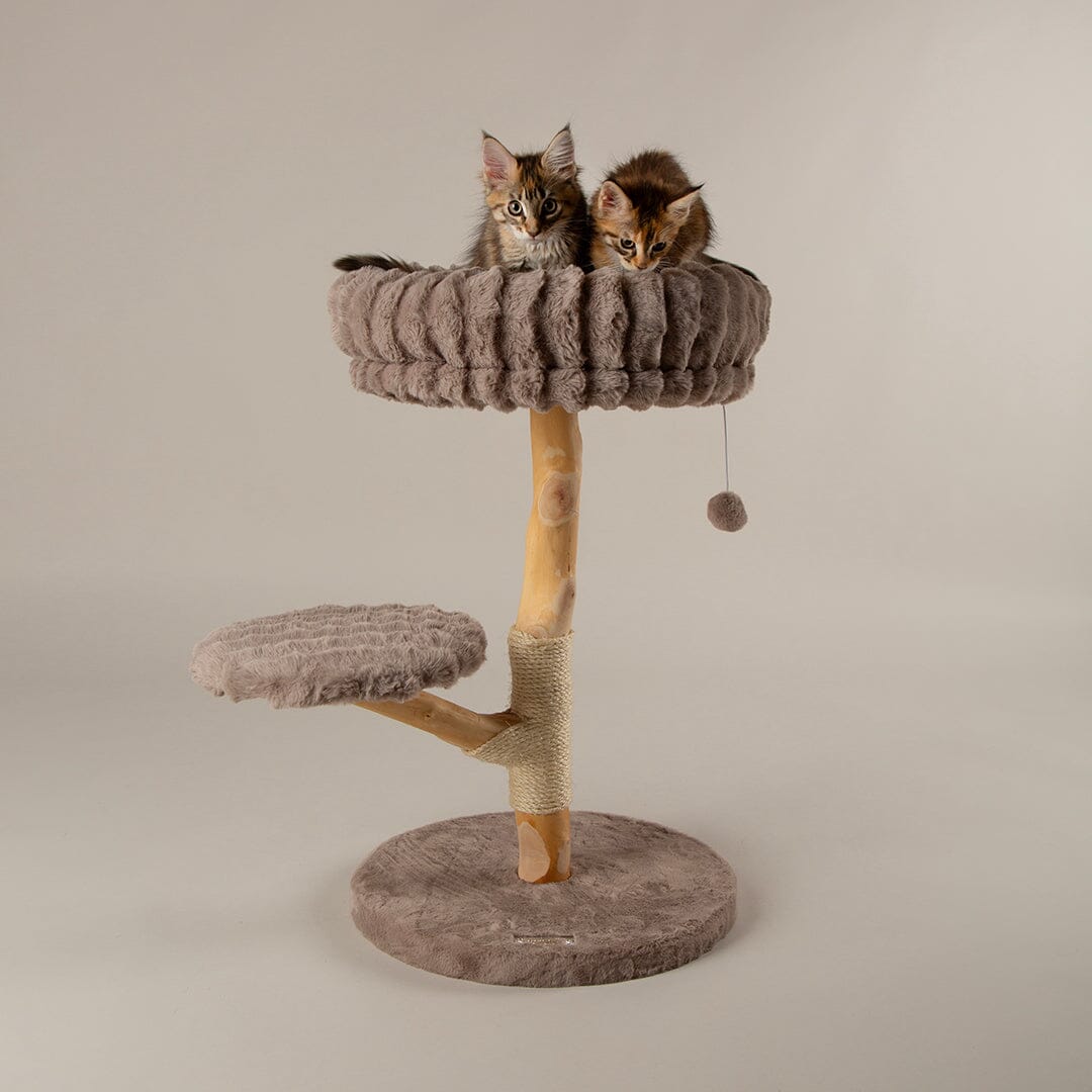 Alpine Atlas Cat Tree - Taupe