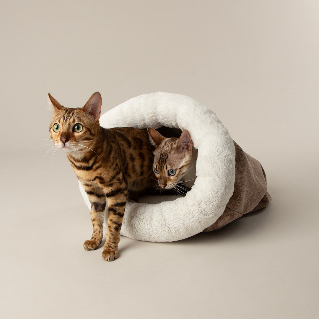Seattle Crinkle Cat Sleeping Bag - Sienna Brown