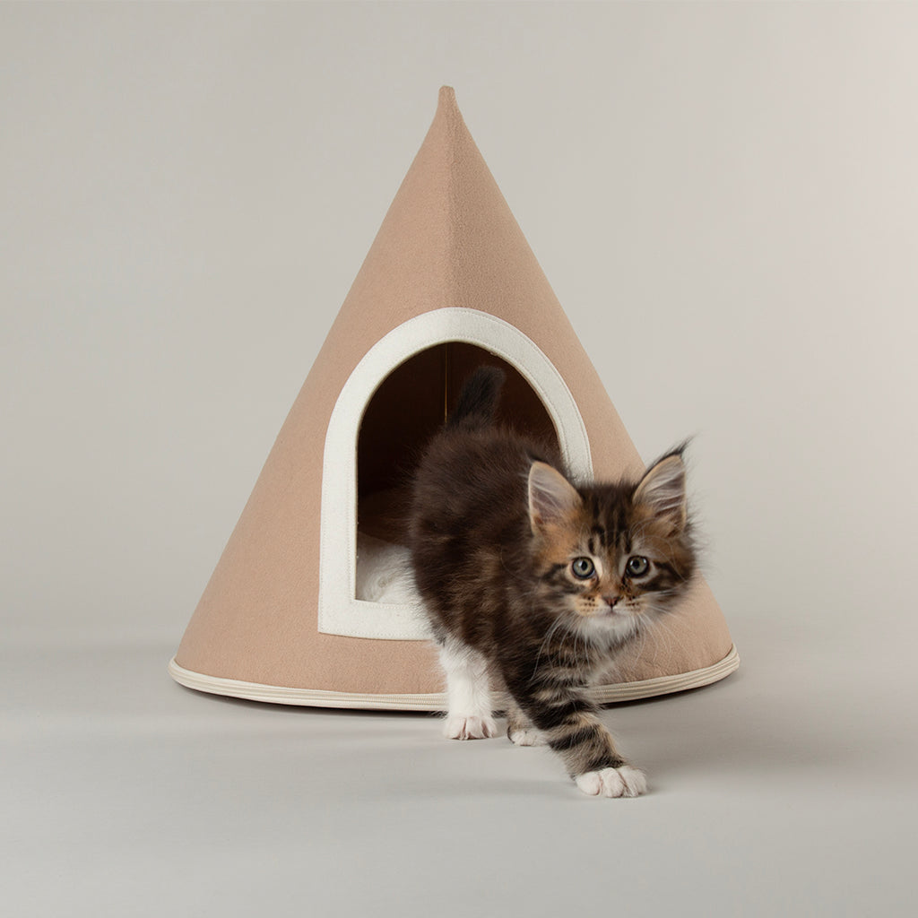 Scruffs Stockholm Felt Cone