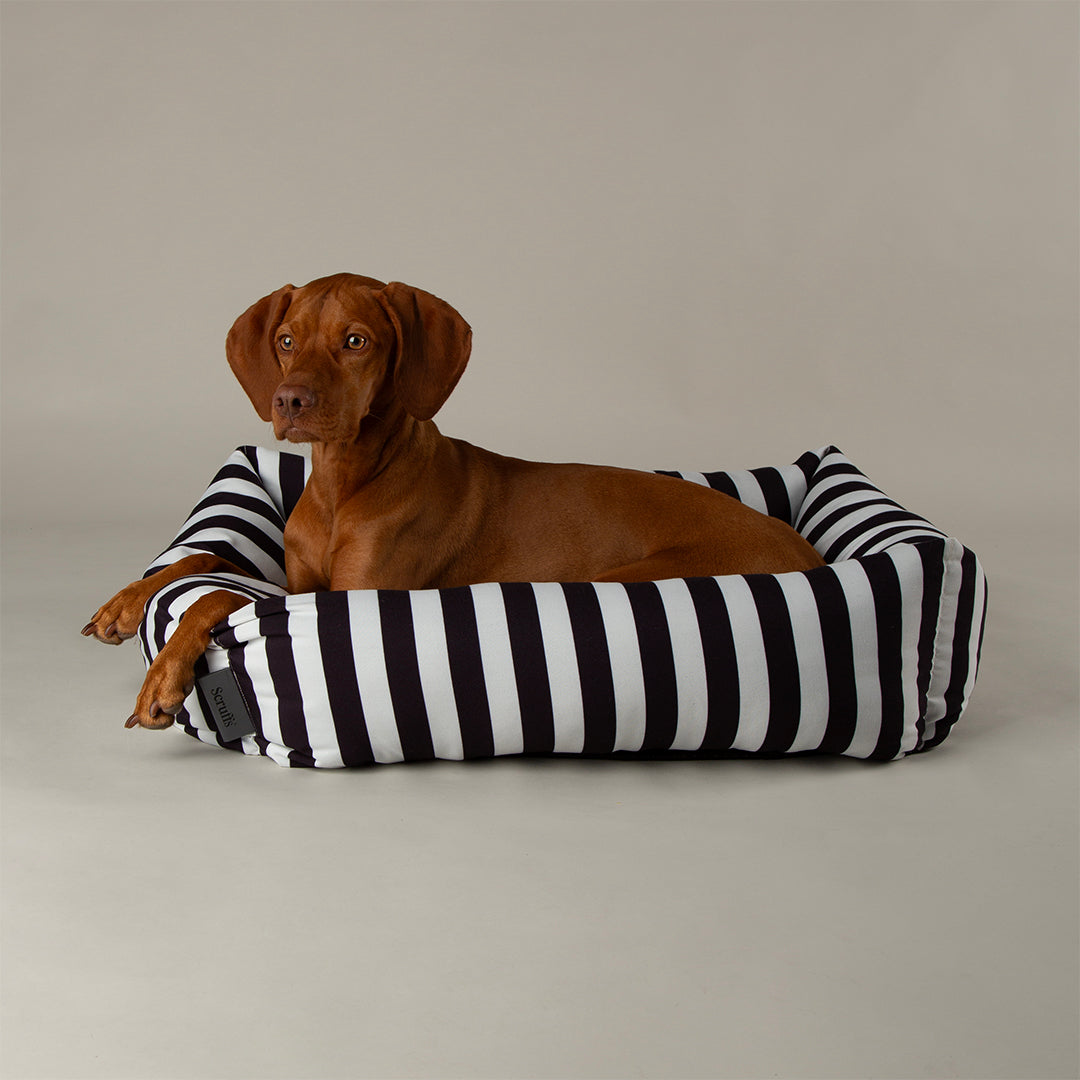 Amalfi Striped Box Bed - Black