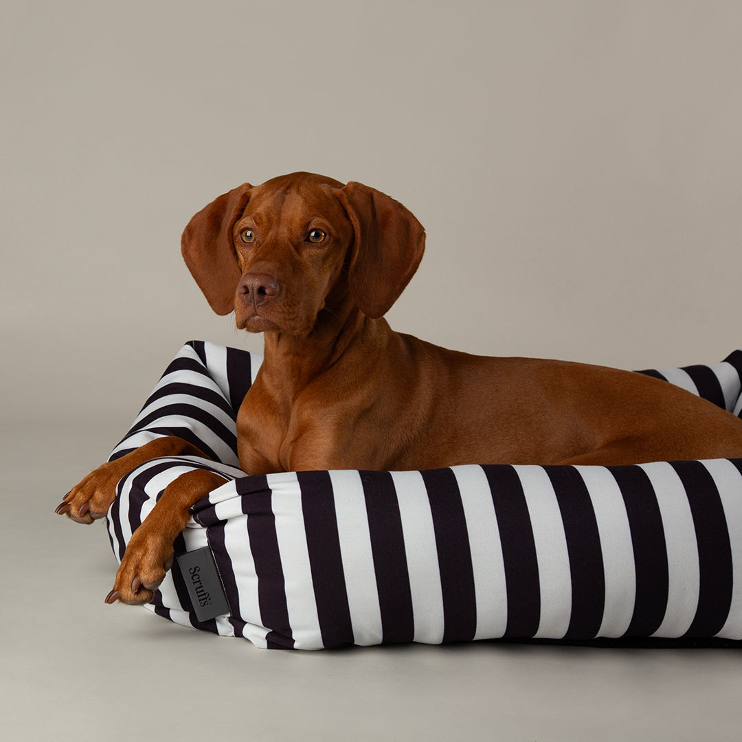 Amalfi Striped Box Bed - Black