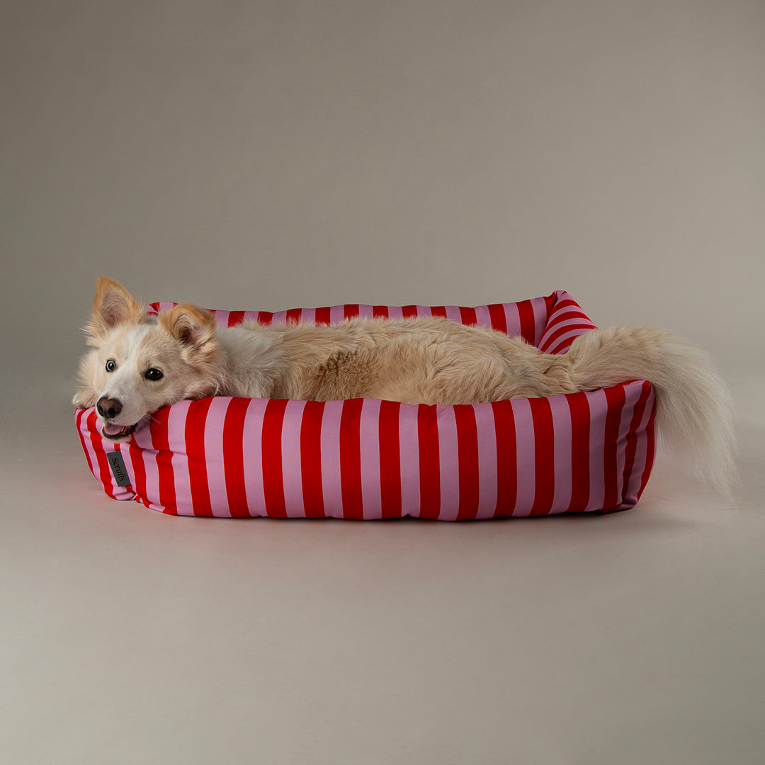 Amalfi Striped Box Bed - Pink