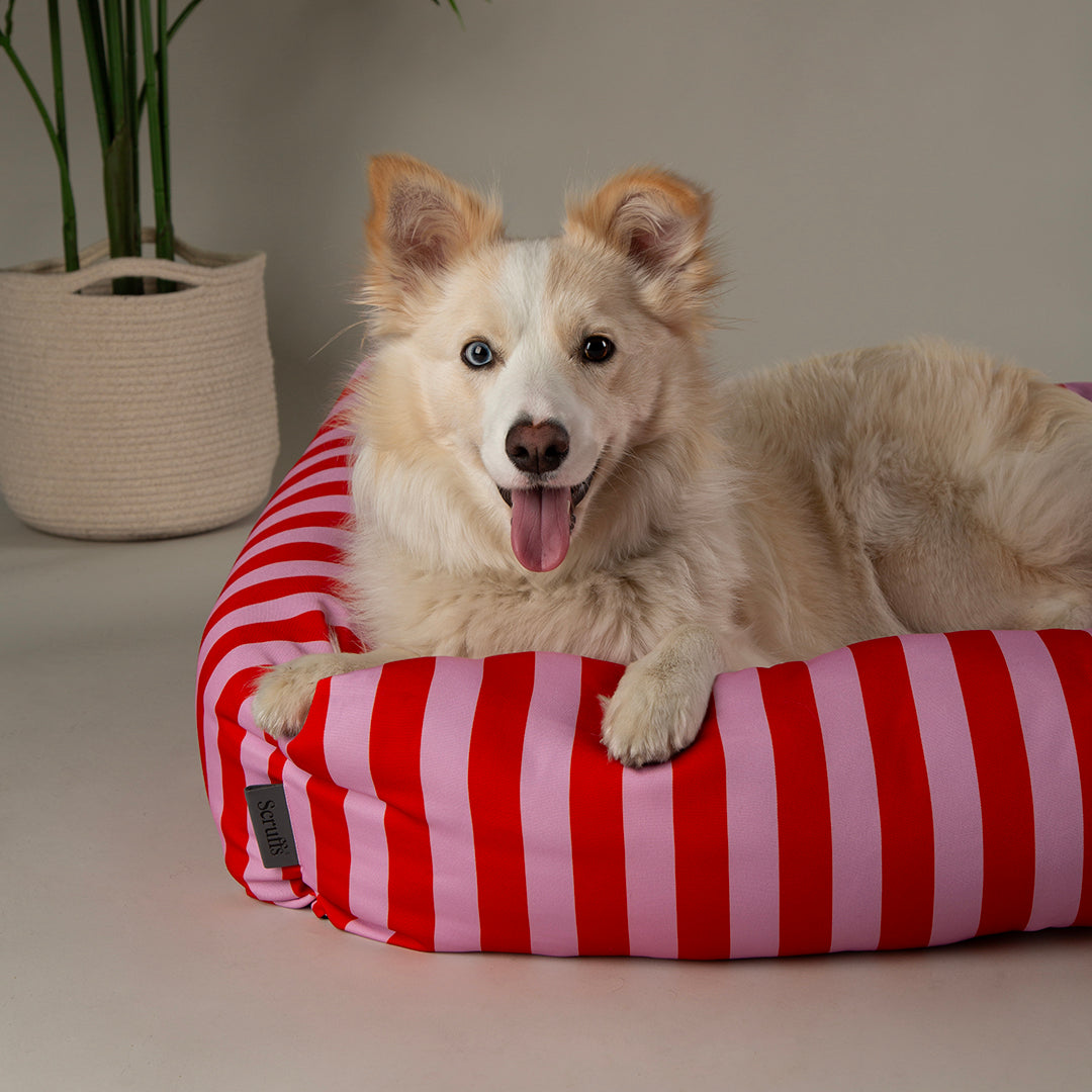 Amalfi Striped Box Bed - Pink
