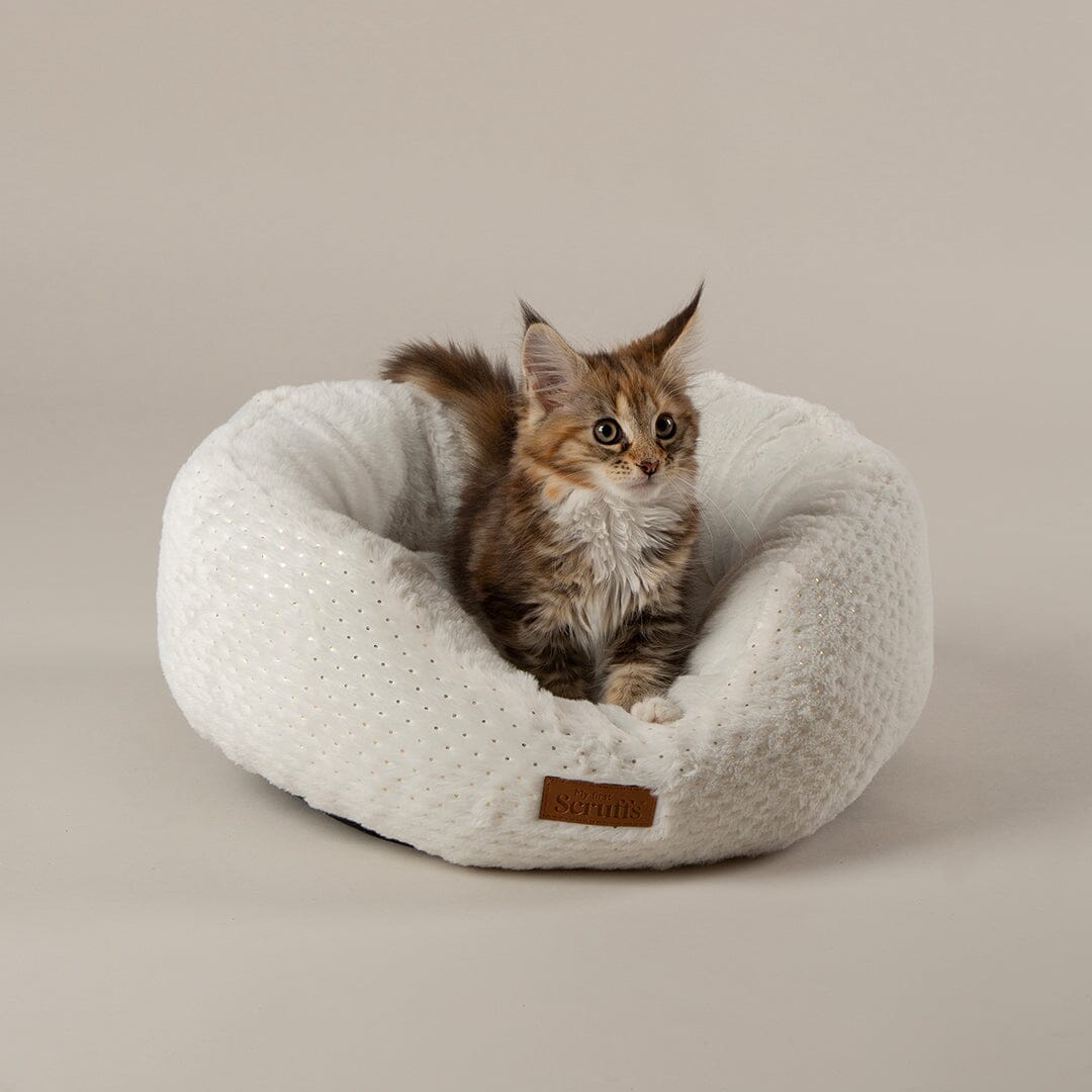 Starlight 'My First' Round Kitten & Puppy Bed & Blanket Set - Cream