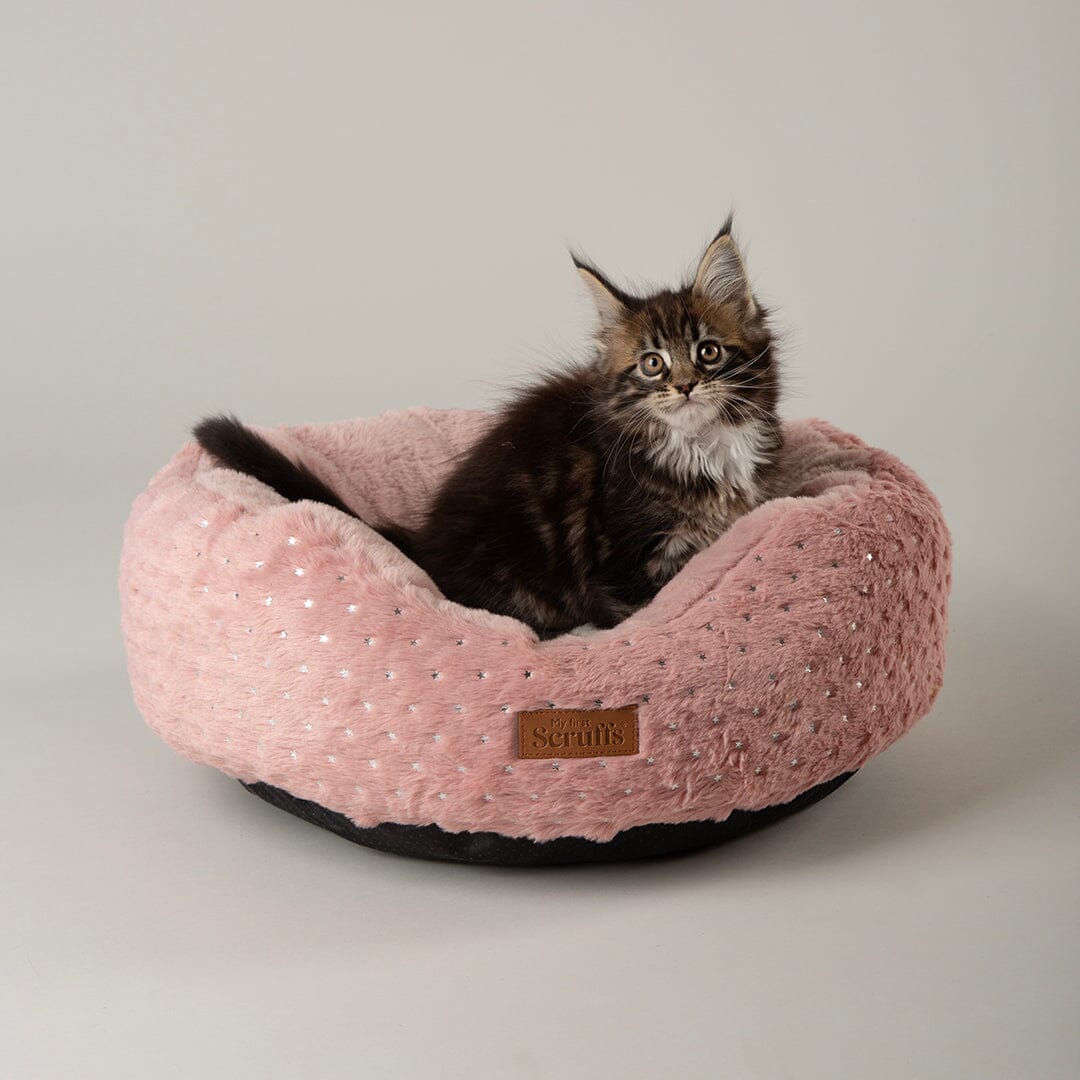 Starlight 'My First' Round Kitten & Puppy Bed & Blanket Set - Pink