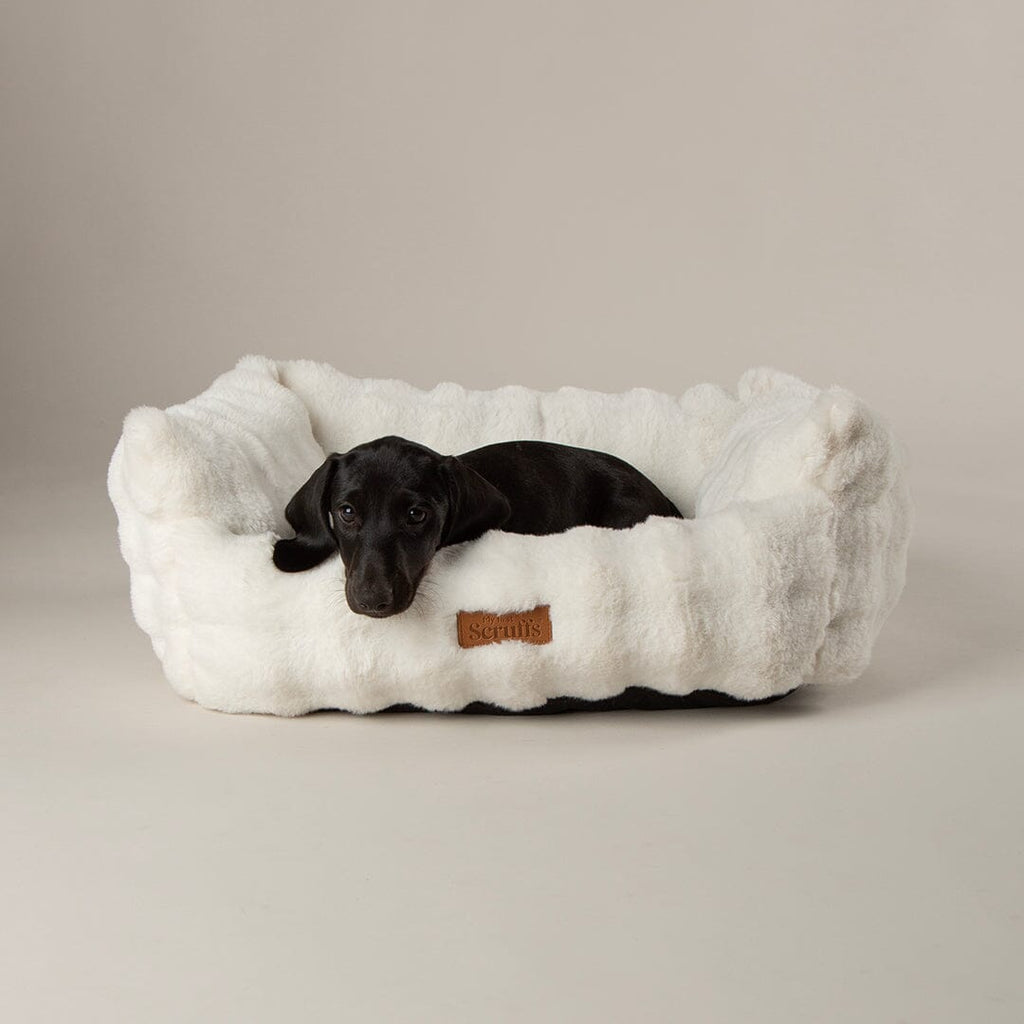 Cloud 'My First' Kitten & Puppy Box Bed & Blanket Set - Cream