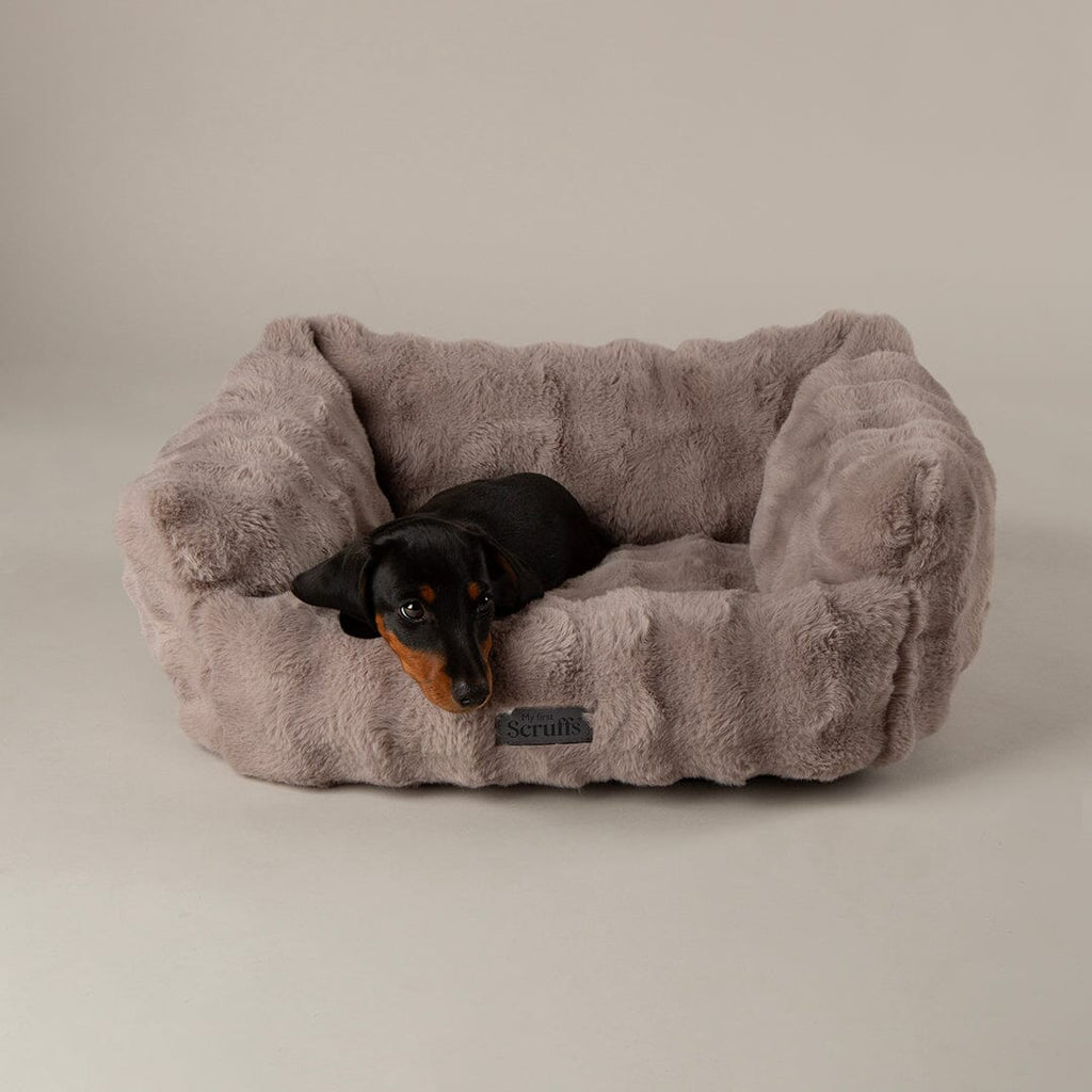 Cloud 'My First' Kitten & Puppy Box Bed & Blanket Set - Grey