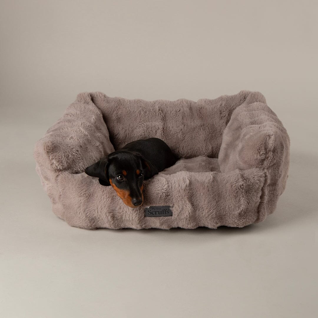 Cloud 'My First' Kitten & Puppy Box Bed & Blanket Set - Grey