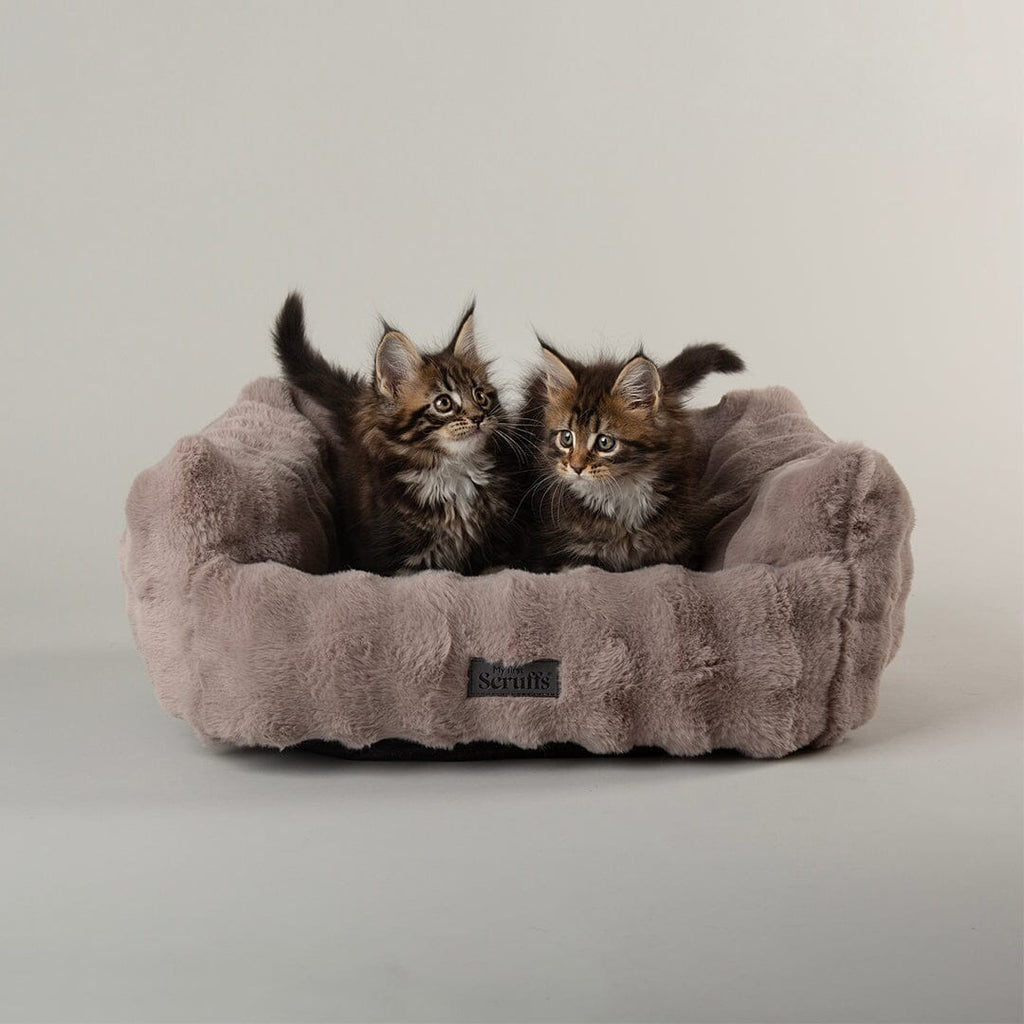 Cloud 'My First' Kitten & Puppy Box Bed & Blanket Set - Grey