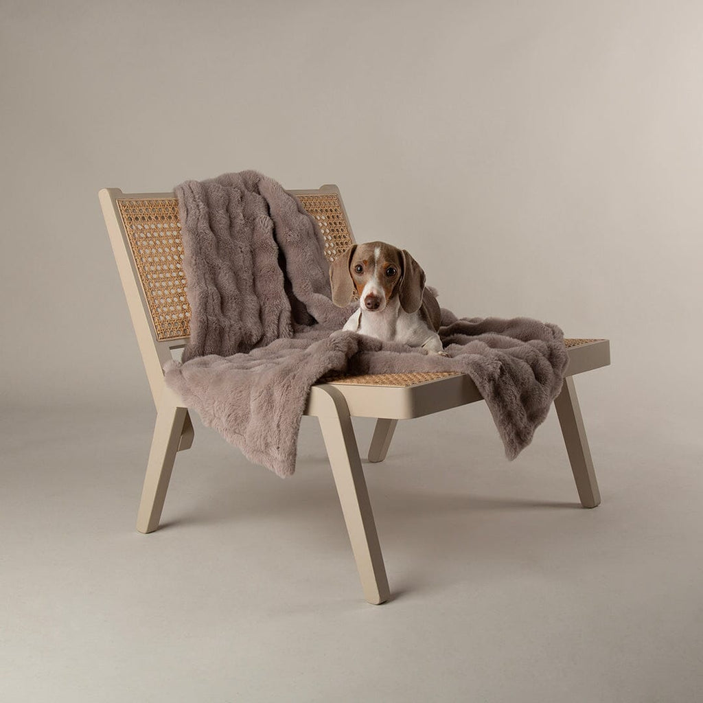 Cloud 'My First' Kitten & Puppy Box Bed & Blanket Set - Grey