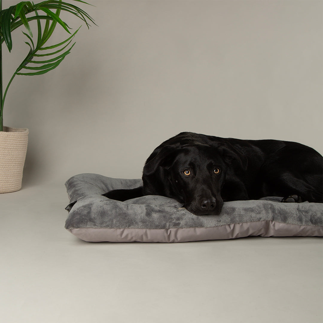 Expedition Reversible Water Resistant Crate Mat Mattress - Storm Grey