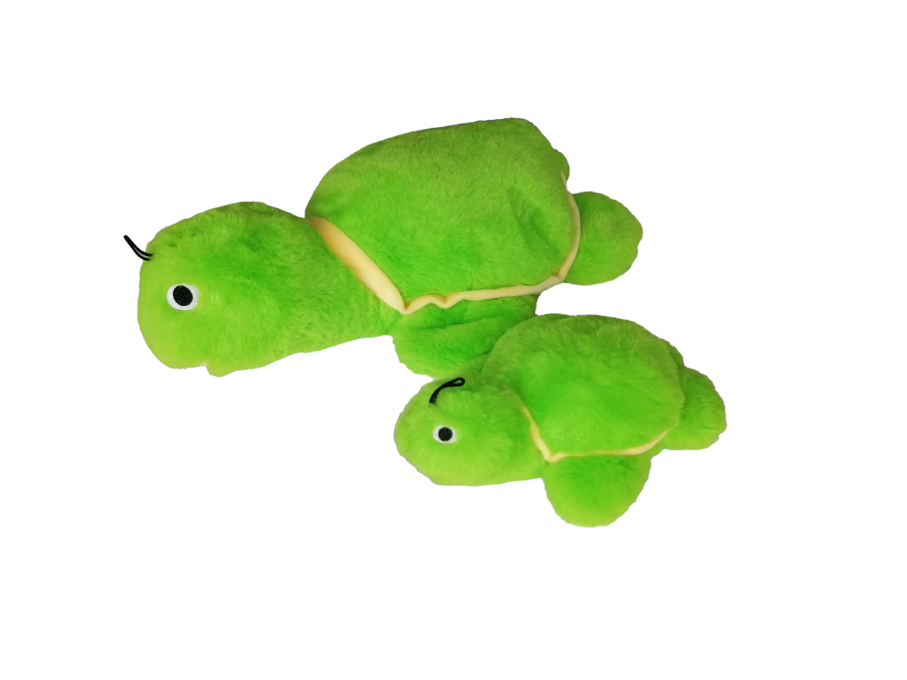 Gor Pets Hugs Baby Tortoise 20cm