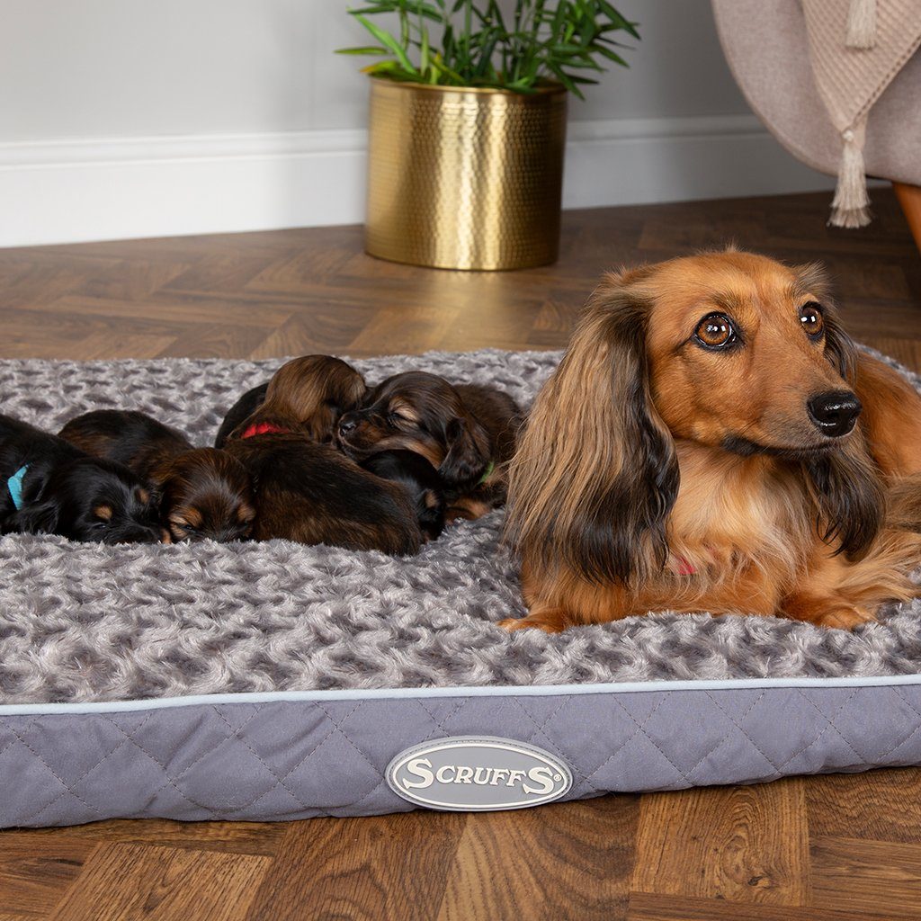 Scruffs® Wilton Mattress Grey