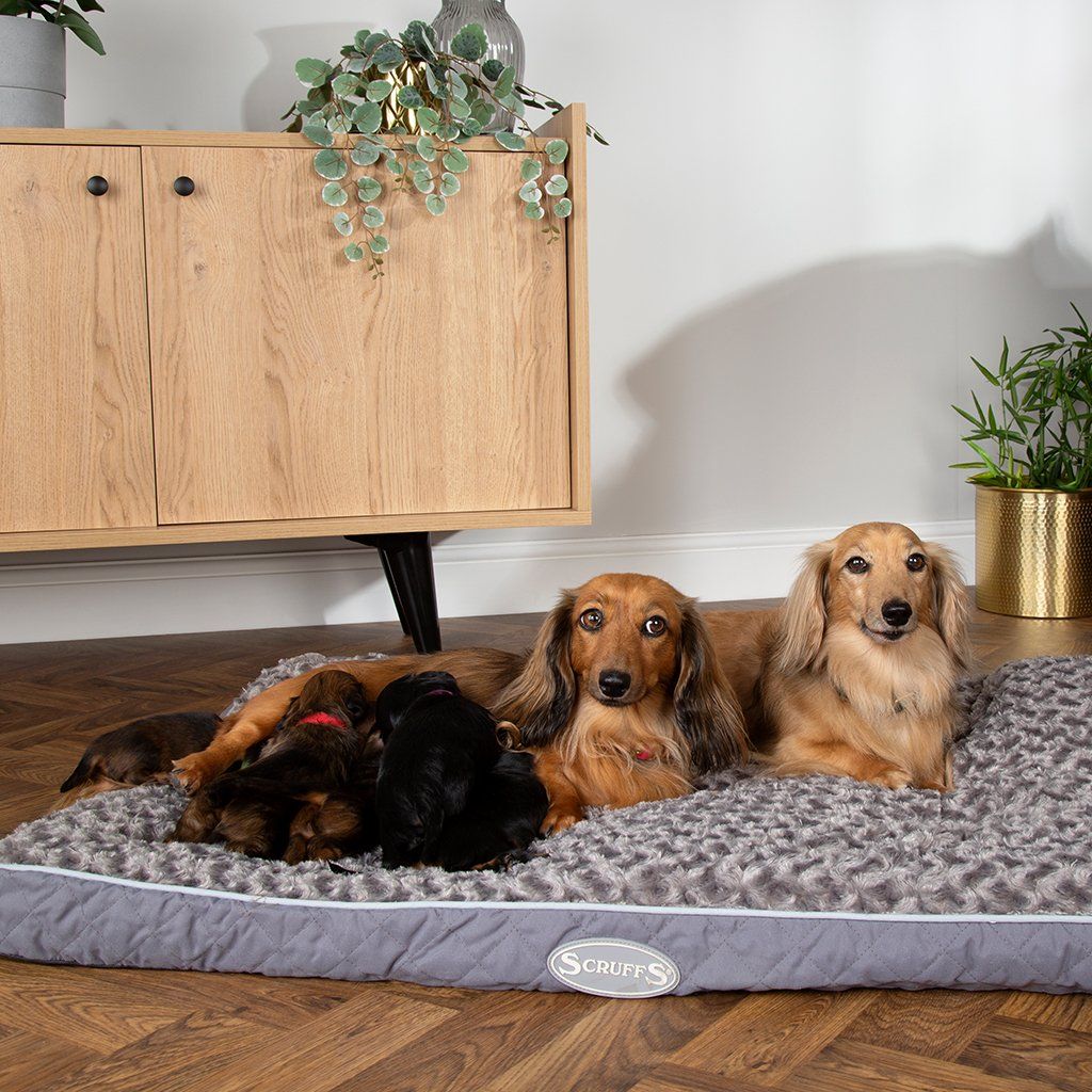 Scruffs® Wilton Mattress Grey