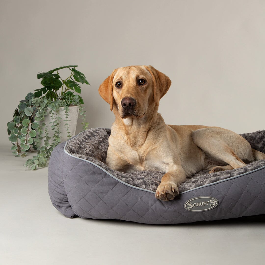 Scruffs® Wilton Box Dog Bed Grey