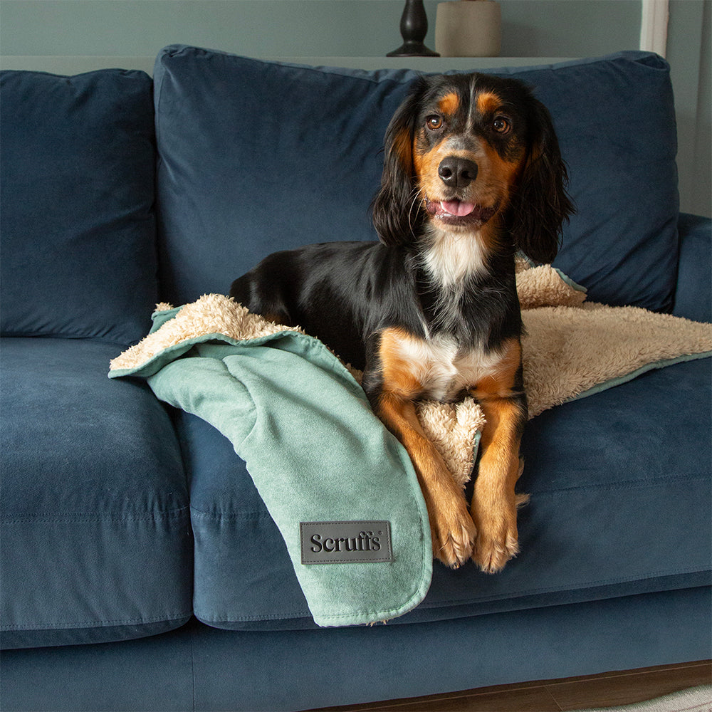 Snuggle Blanket - Sage Green
