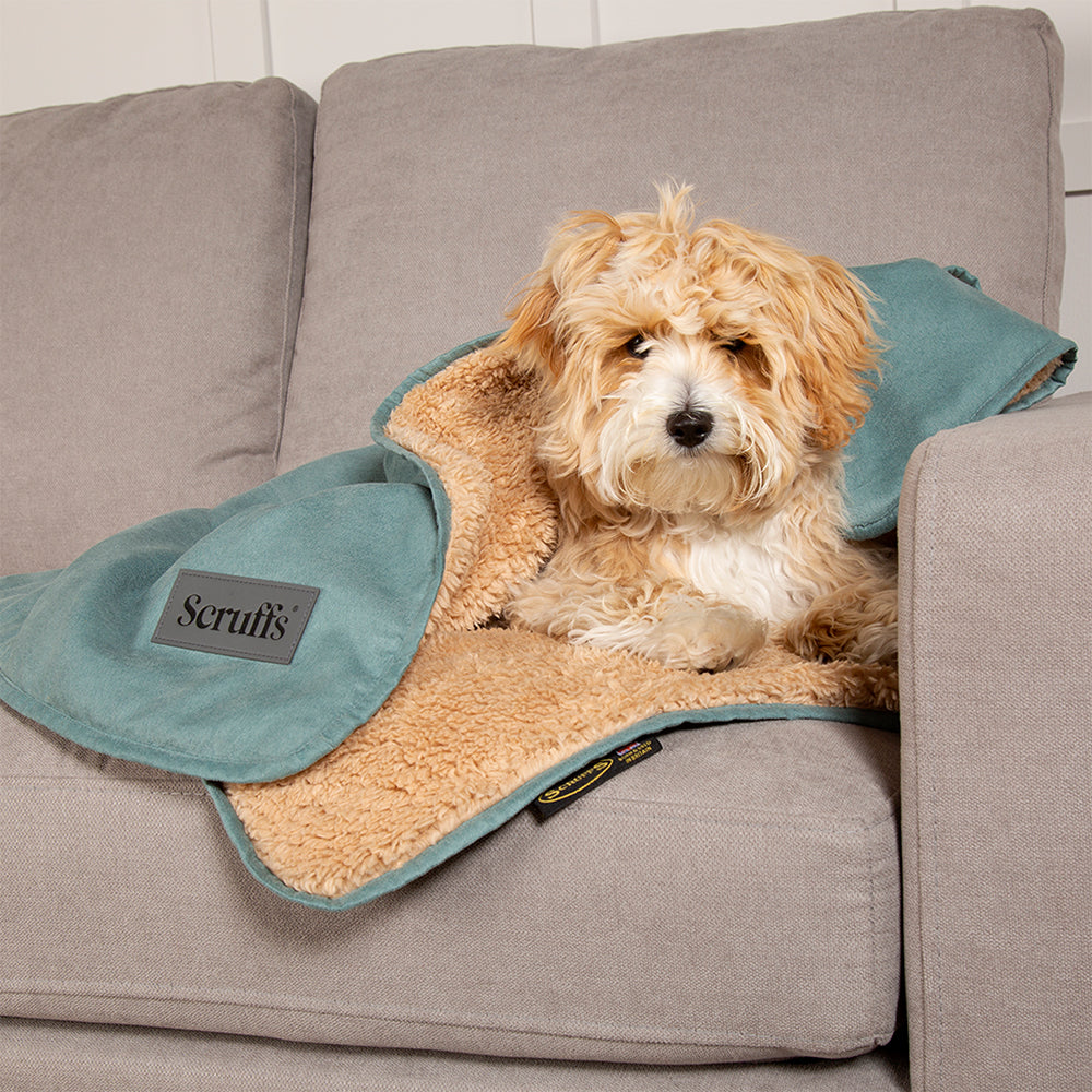 Snuggle Blanket - Sage Green