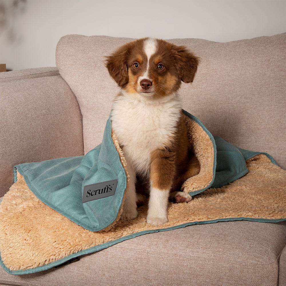 Snuggle Blanket - Sage Green